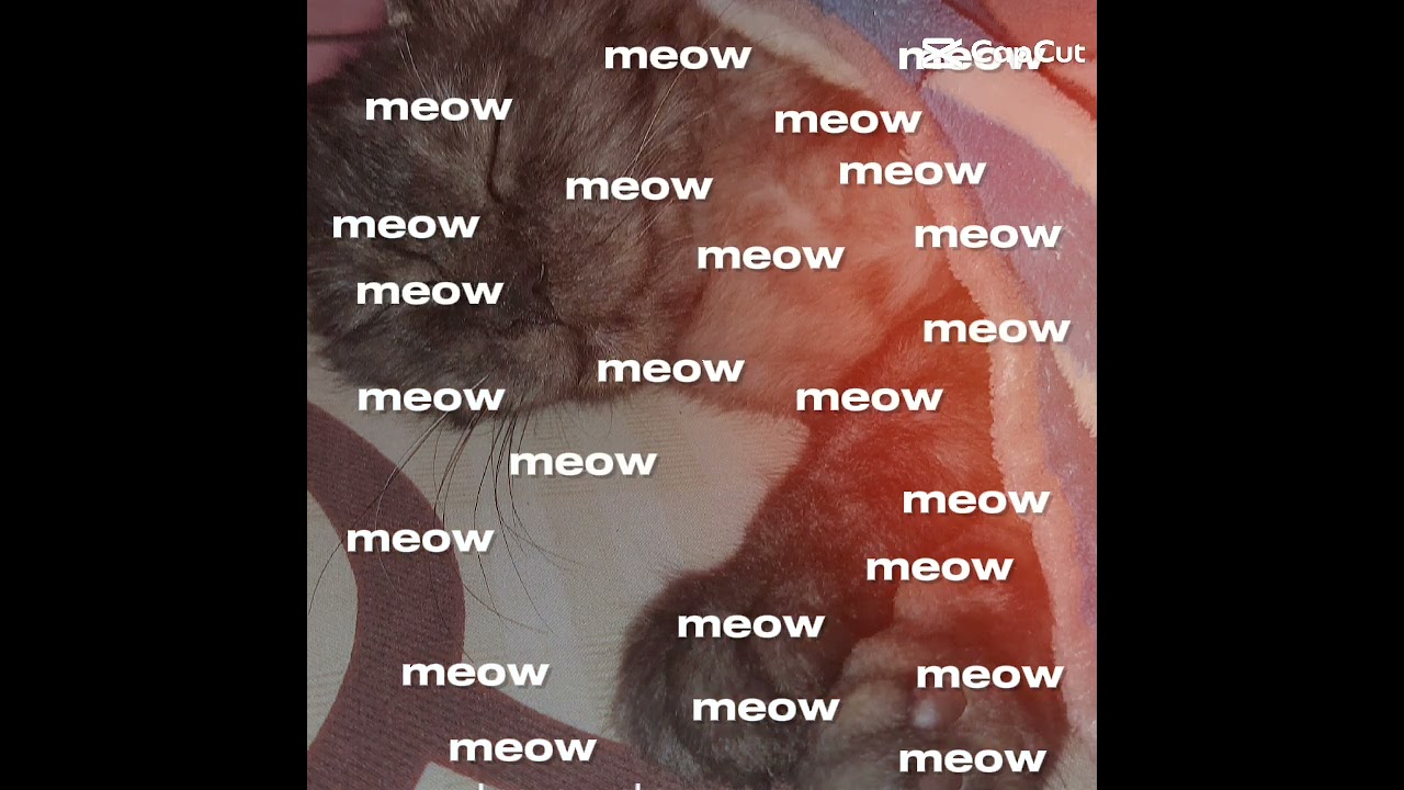 meoau