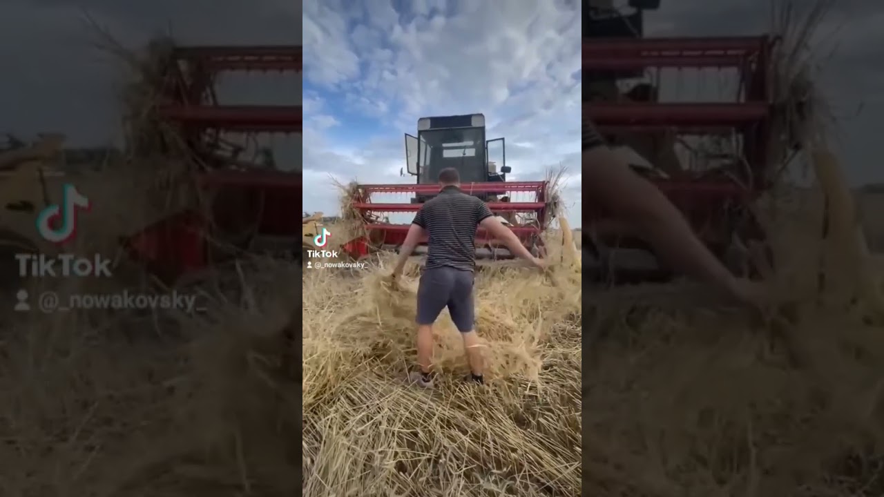 Harvest Hymn 2023