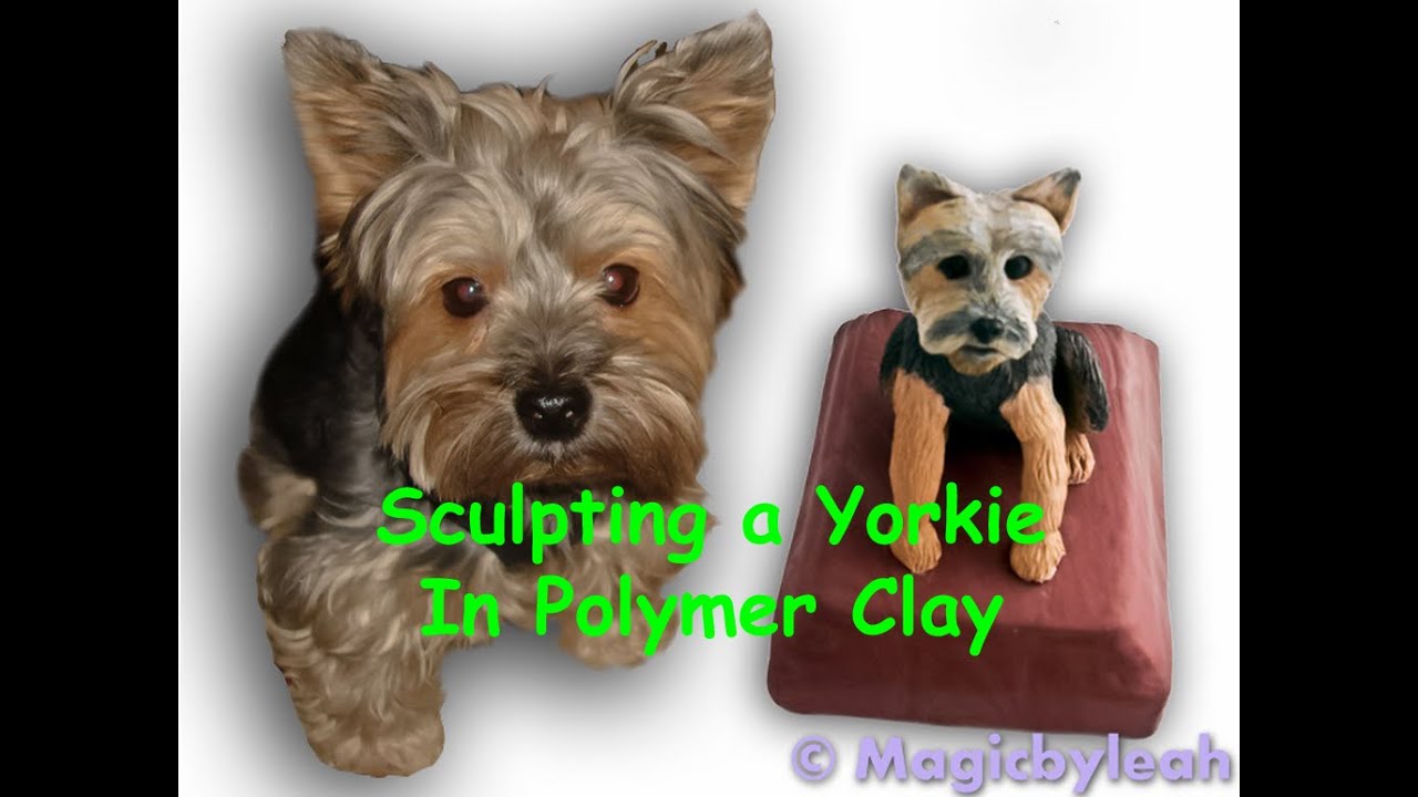 Sculpting Bodewell the Yorkie - Mini Dog in Polymer Clay
