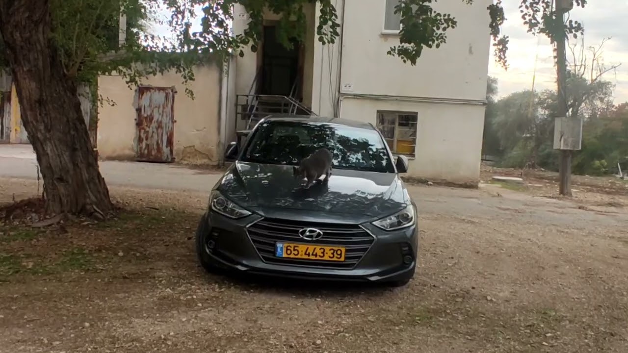 WELCOME TO SMALL VILLAGE IN #ISRAEL #VILLAGE NAME IS RAMAT DAVID