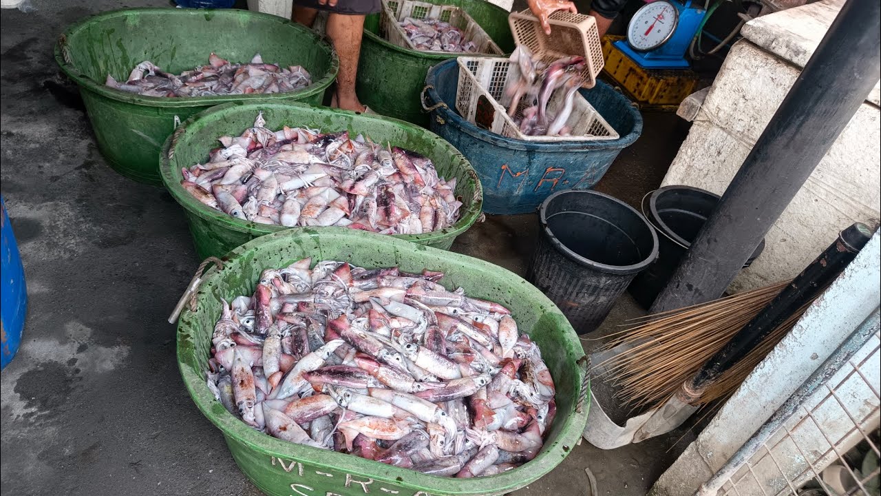 Lahat sila tig isang Banyira ang huli #squidfishing #buhaymagdaragat