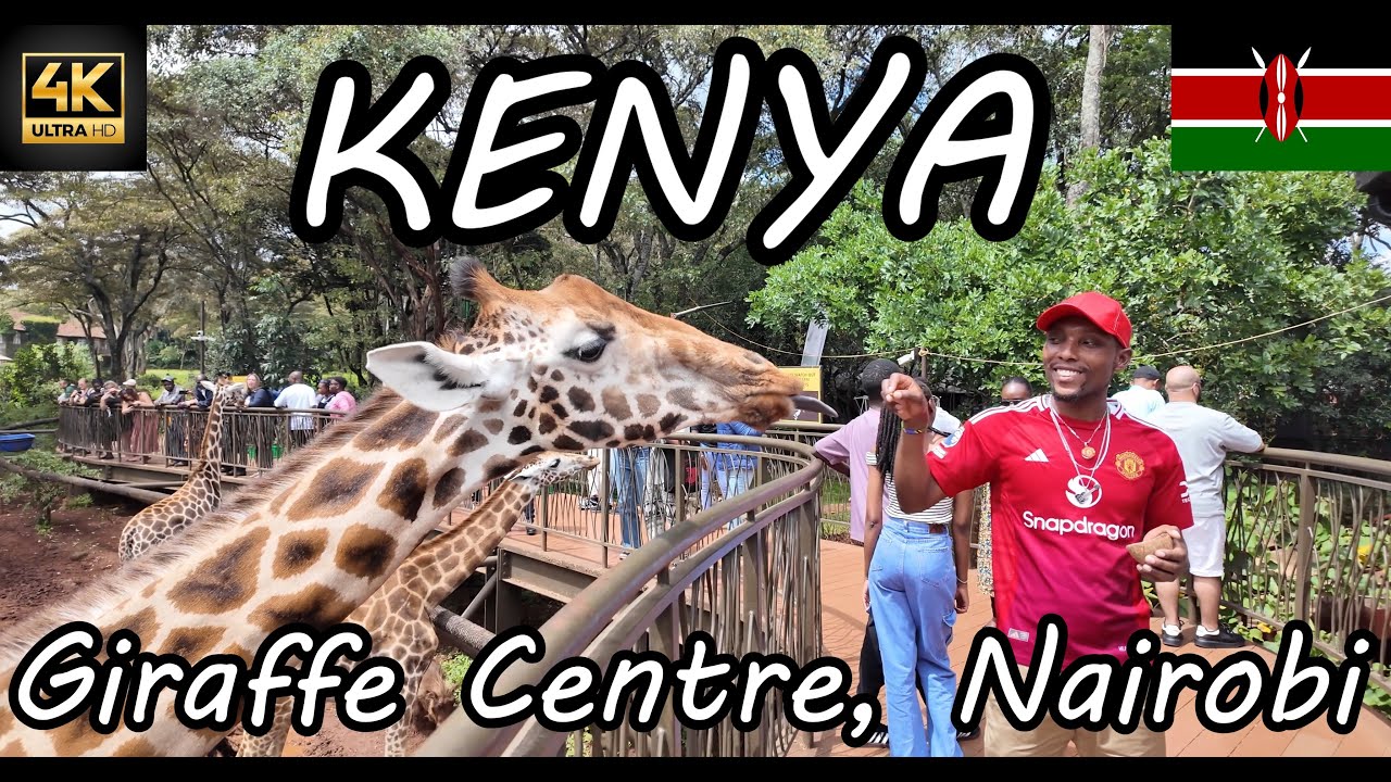 Let's Explore Giraffe Centre in Nairobi, Kenya! 2025  [4K Ultra HD/60fps]