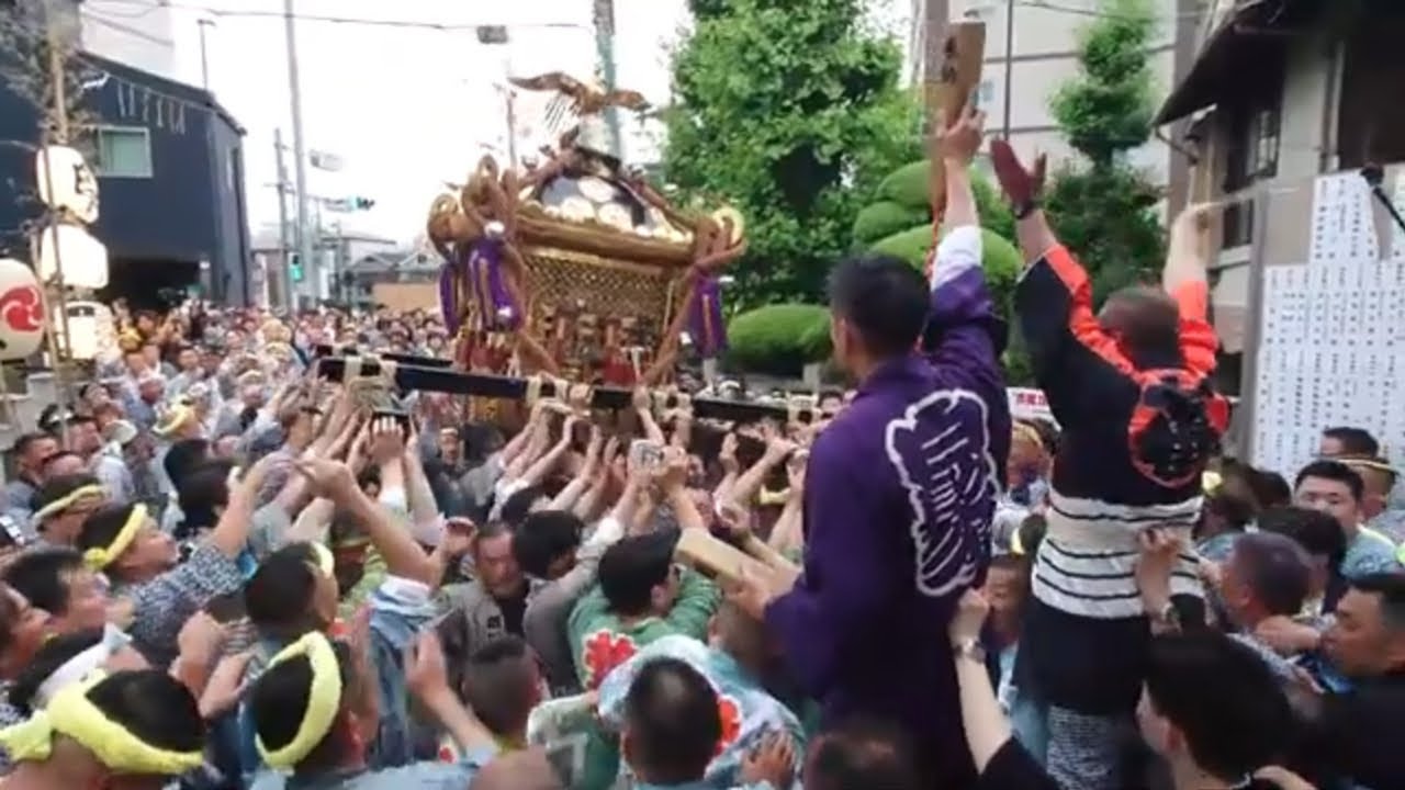 白鬚神社例大祭 2025 本祭 ⛩️【お祭りライブ（アーカイブ）📺️】本社拾参番神輿の神輿渡御‼️7:30出発🕓️7:00配信開始 - Matsuri Festival Live Streaming