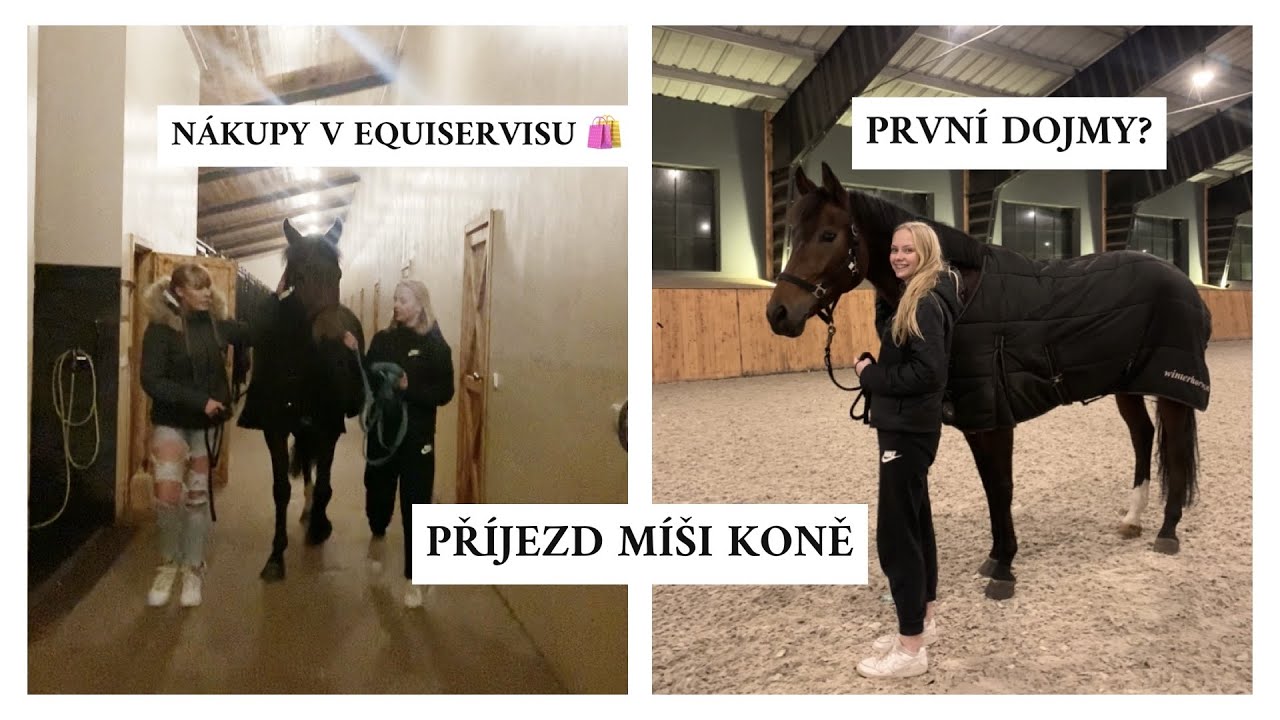 MÍŠA MÁ NOVÉHO KONĚ 😍