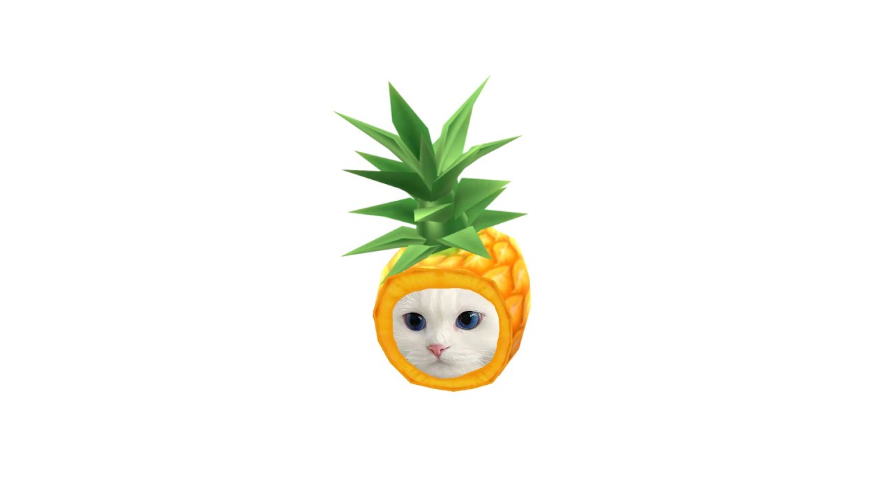 ˖° 𓇼 SILLY in tropical paradise 🍍 | bossa nova playlist ꧂