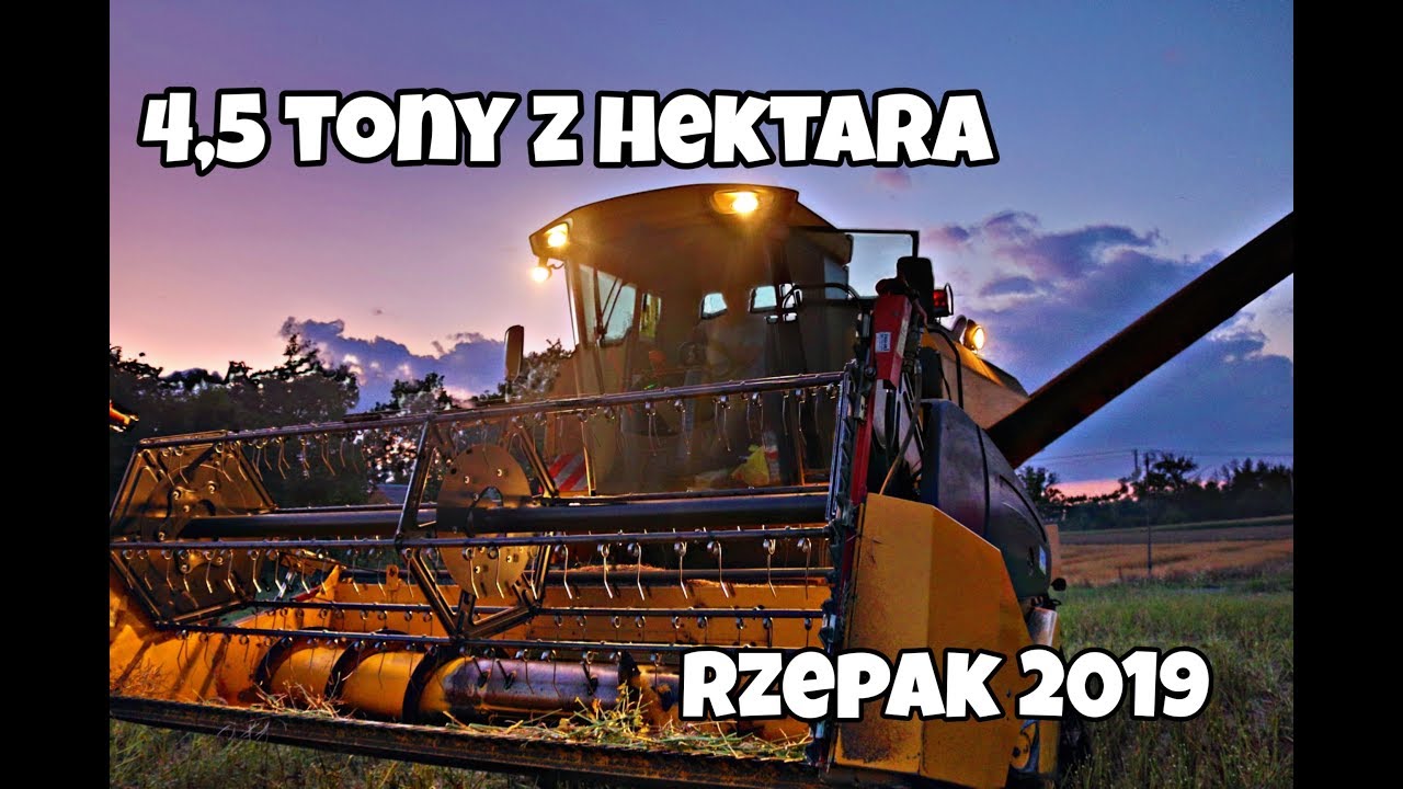 HIT ! 4,5 Tony z  Hektara!  Rzepaczane Żniwa GR Kapusta  & GR Gil | Osinki AgroTv ✪