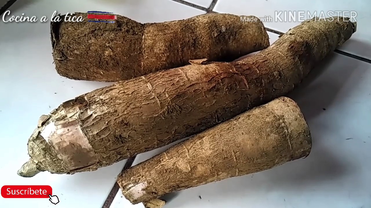 como guardar la YUCA en la nevera por más tiempo /Cocina con Jenny