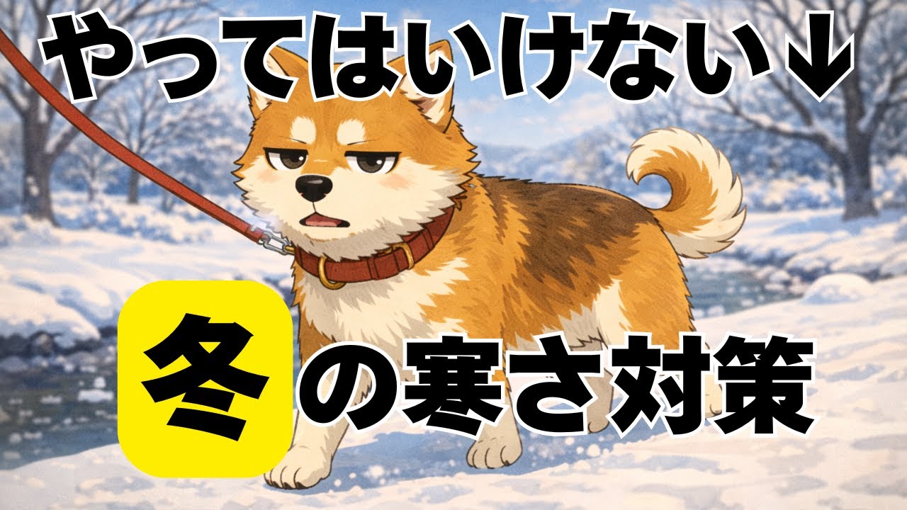 飼い主がやってはいけない犬の寒さ対策【犬雑学】
