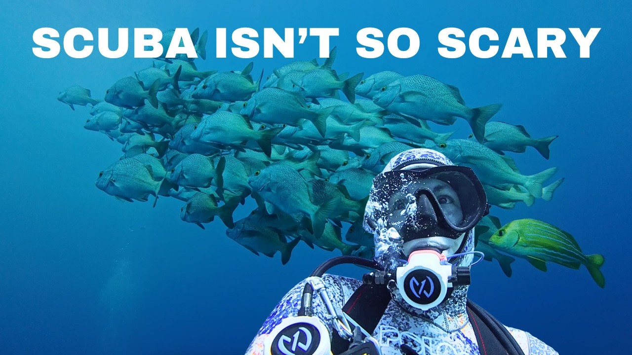 10 reasons why scuba diving isn't so scary