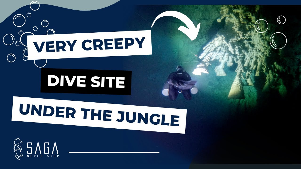 CREEPY Dive Site in the Mexican Jungle // HELLS BELLS Zapote