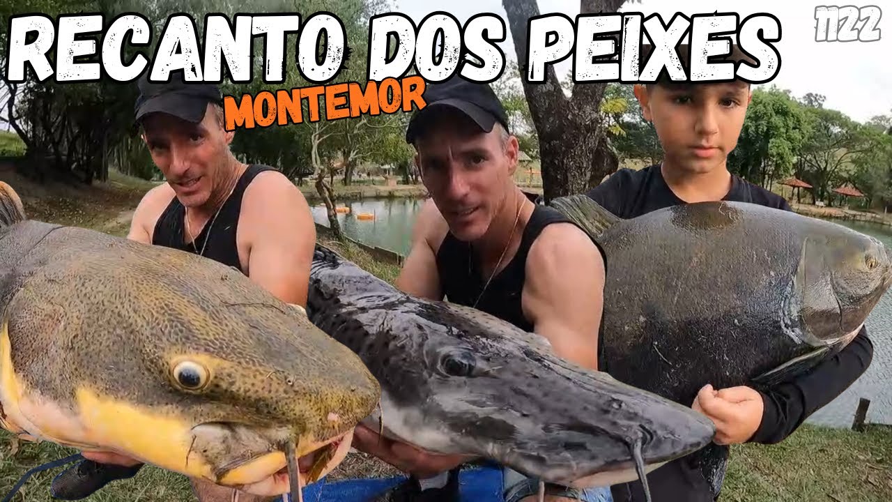 FIM DE TARDE NO RECANTO DOS PEIXES DE MONTEMOR - FISHINGTUR NA TV 1122