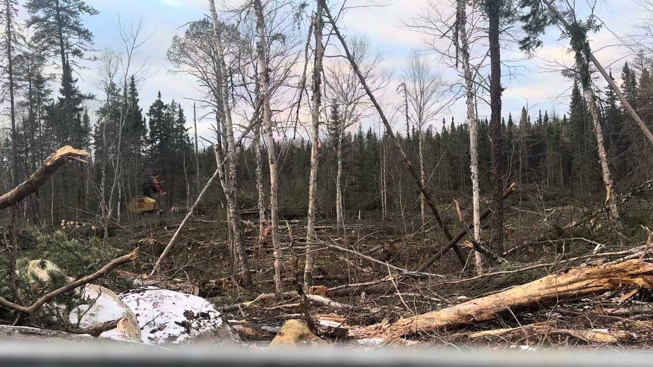 2011 Tigercat 870C-Northern Ontario logging