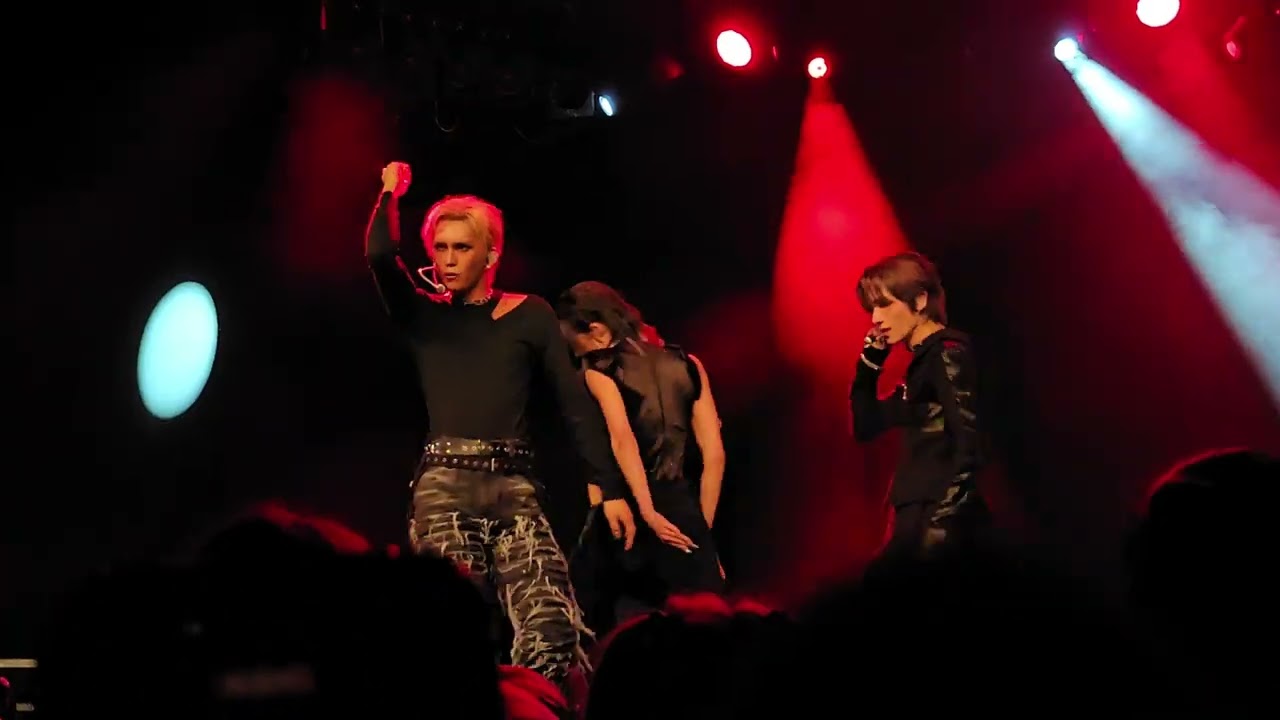 Xlov concert #46