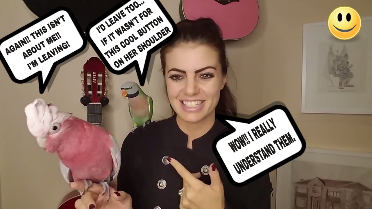 Jersey and Her Hormonal Cockatoo Tantrum | STORY TIME SUNDAY