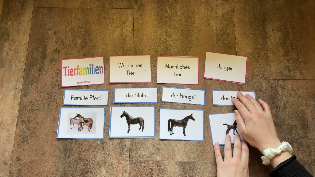 Tierfamilien-Bauernhoftiere