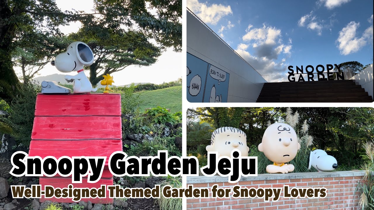 Snoopy Garden Jeju | Well-Designed Themed Garden for Snoopy Lovers
