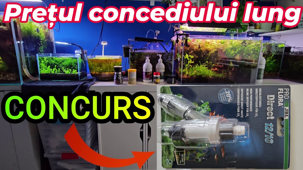 Turul acvariilor la revenire, dramă sau bucurie? + Un mic concurs