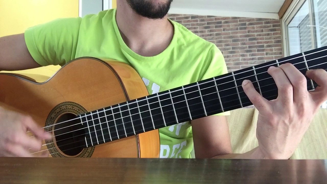 Vicente amigo - Las cuatro lunas (acompañamiento)