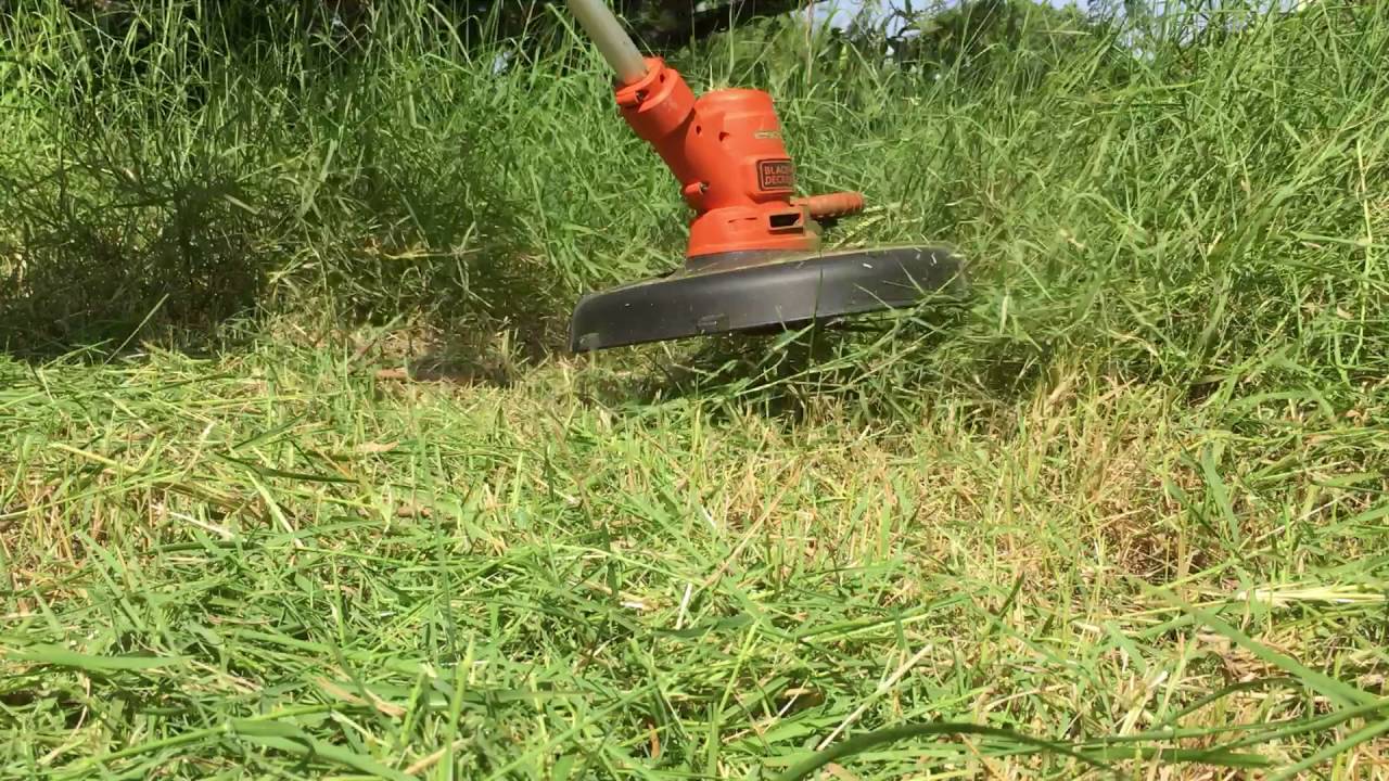 Weed eater cutting grass - HD - Video sound effects