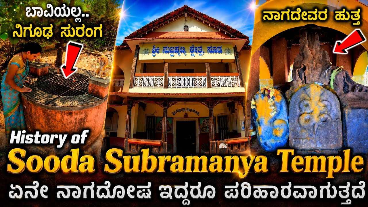 ಚೂಡಾಮಣಿಯನ್ನು ಸರ್ಪಗಳು ಕಾಯುತ್ತಿದ್ದ ಕಾರ್ಣಿಕದ ಕ್ಷೇತ್ರ ನೋಡಿ | History of Sooda Subramanya Temple | Udupi