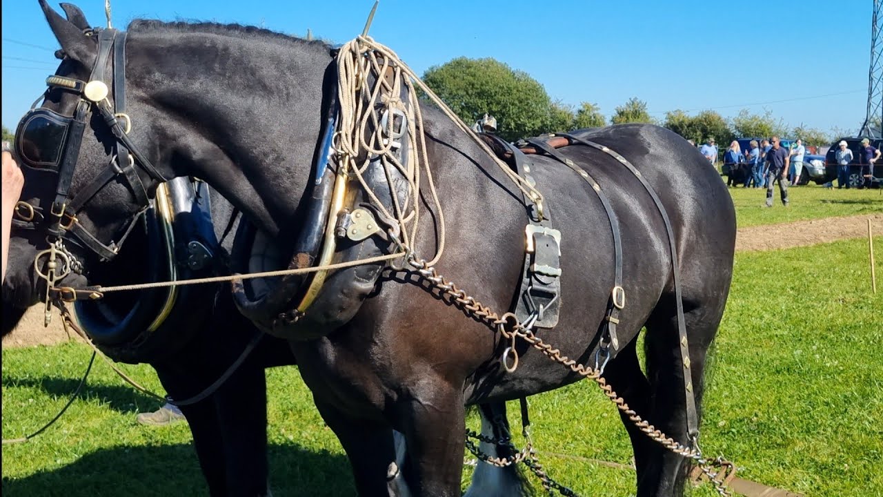 National ploughing championship 2024