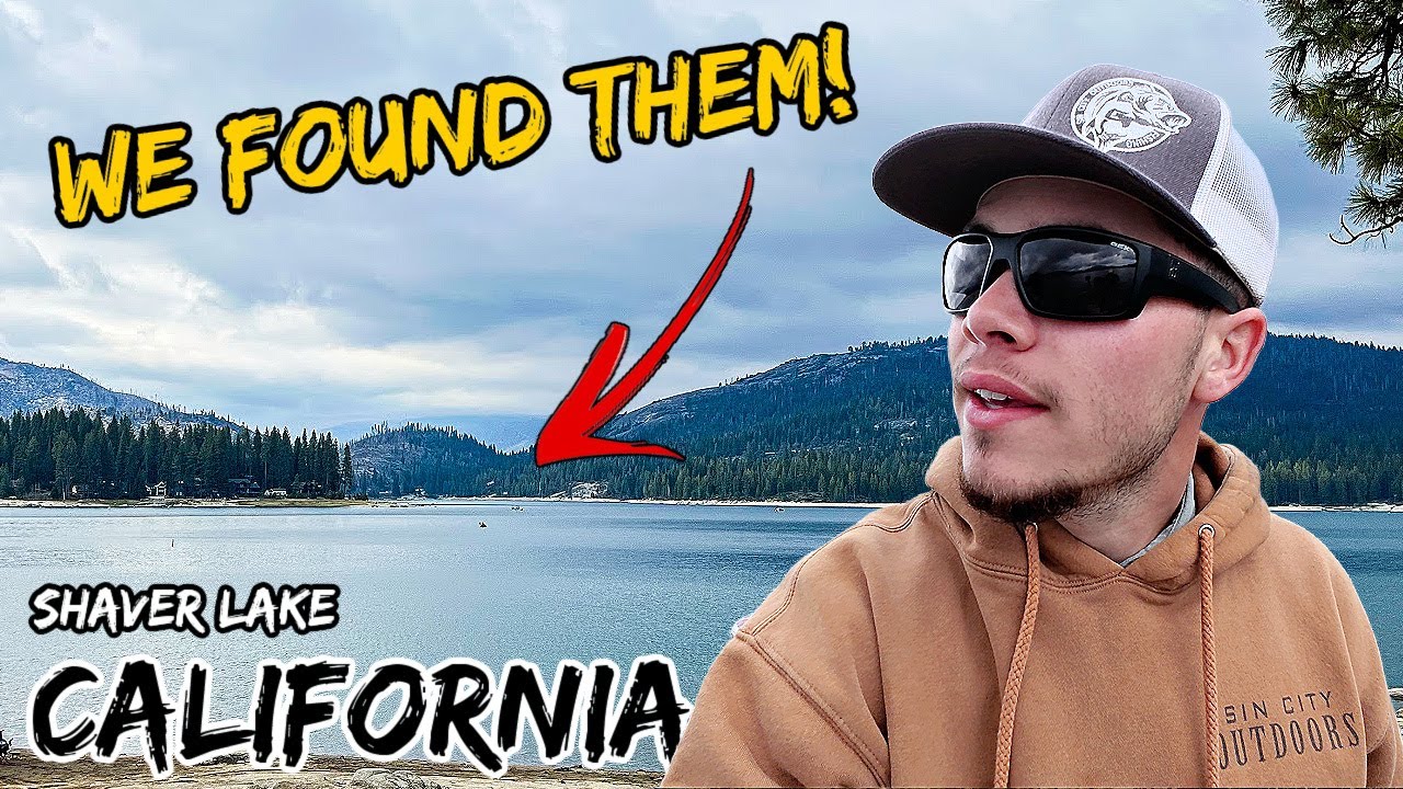 This California Lake has Landlocked Salmon! Catch and Cook!