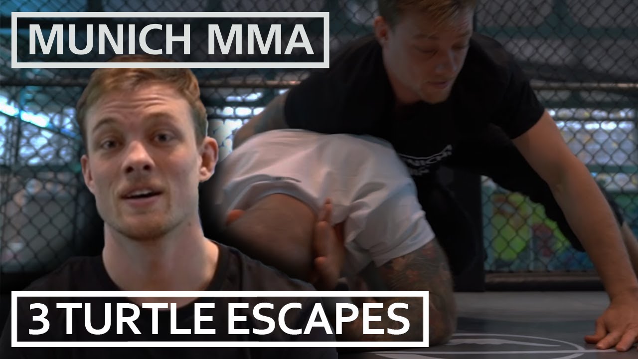 Wie du dich in der Turtle beim BJJ, MMA und Nogi befreist