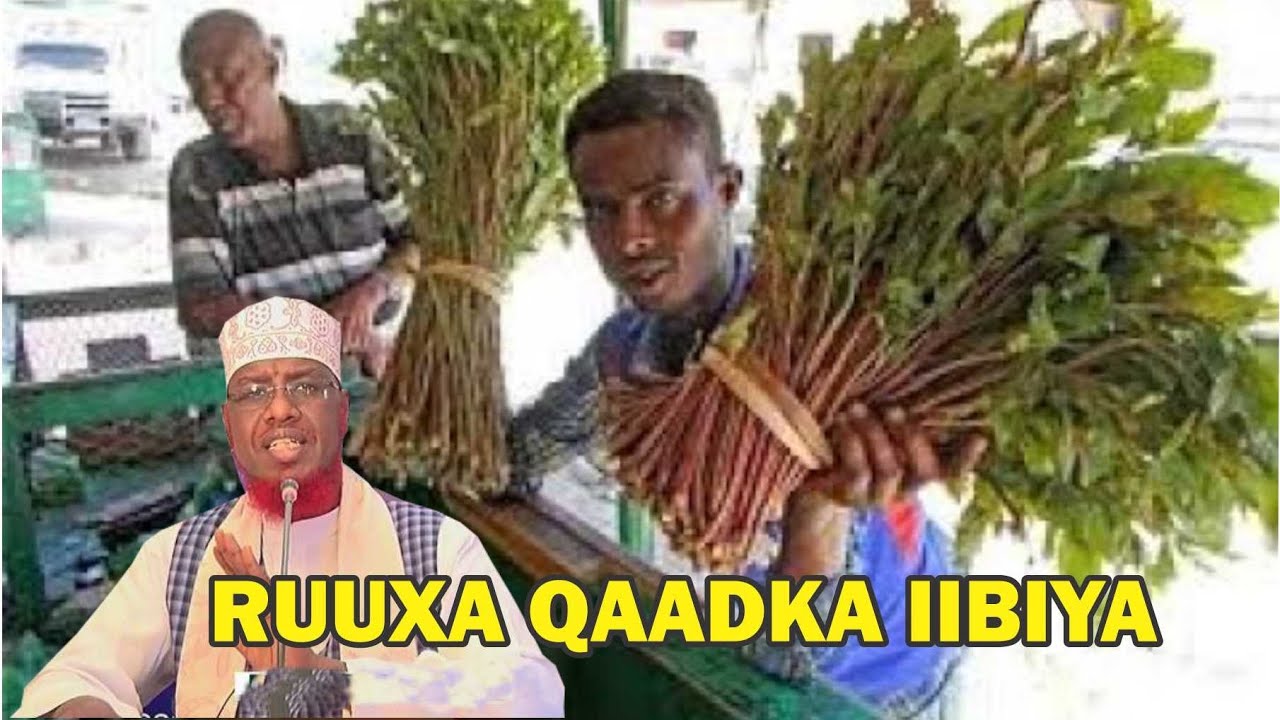 Ruuxa Qaadka iibiya gurigiisa maka afuri karaa? || Sh Maxamed cabdi Umal