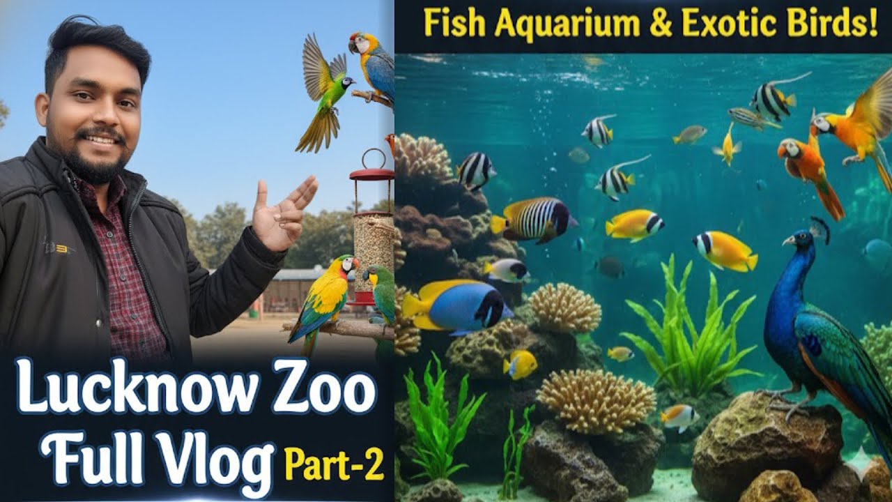 Lucknow Zoo(चिड़ियाघर ♥️) Full Vlog Tour Part-2 Nawab Wazid Ali Shah Zoological Park Lucknow UP