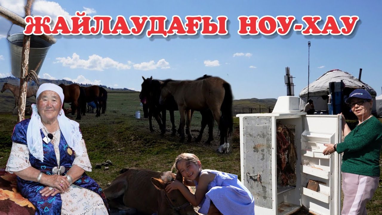 ЖАЙЛАУДАҒЫ НОУ-ХАУ