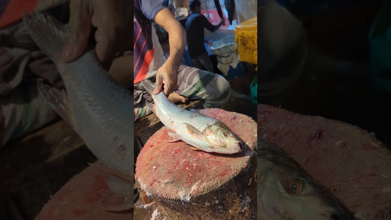Amazing Big Mrigal Fish Cutting Skills Live In BD Fish8#Market