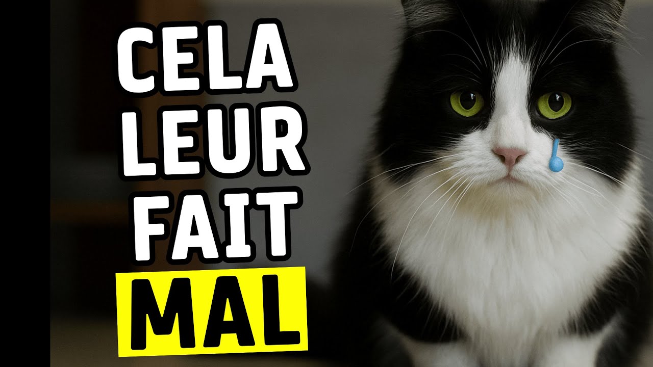 C'est nocif pour votre chat