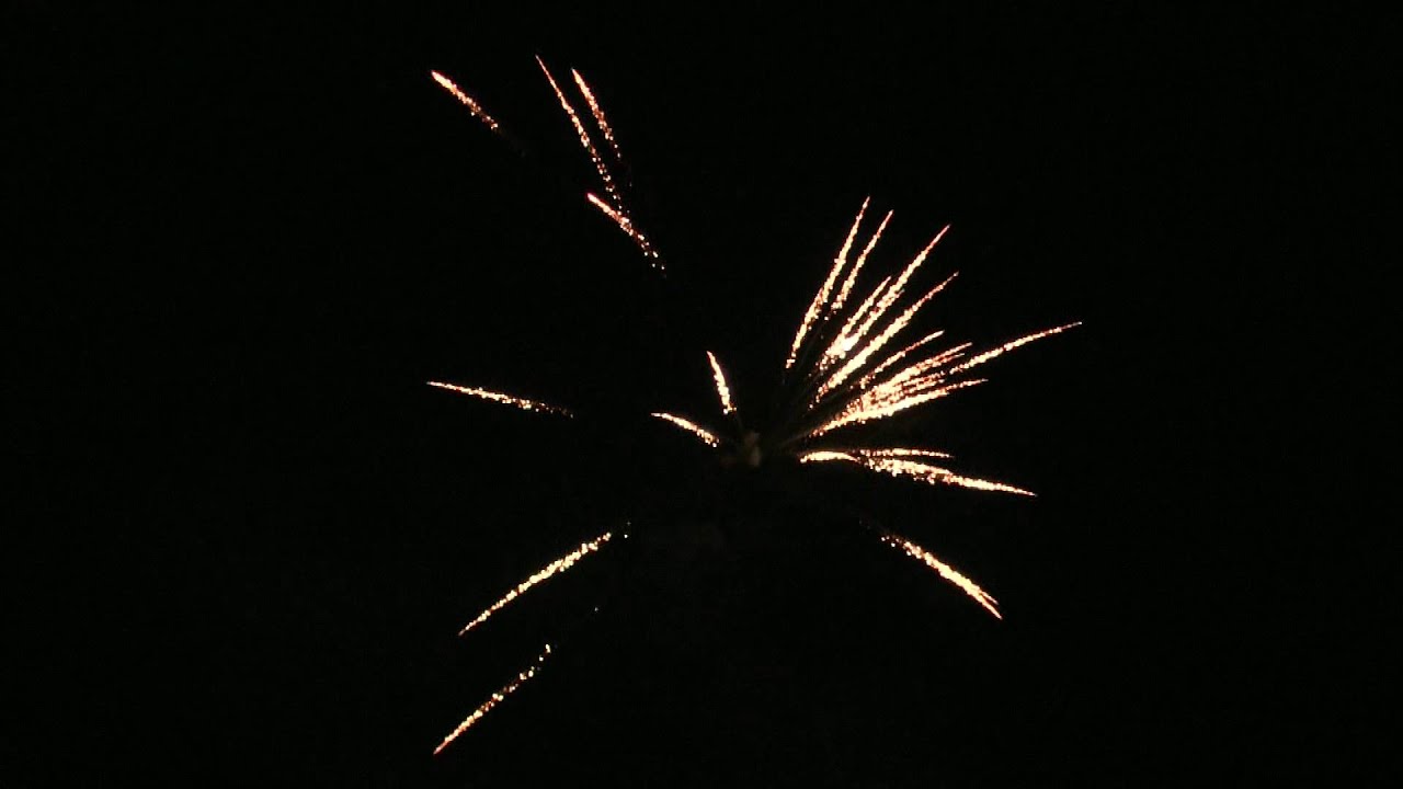Panda Feuerwerk Goldrausch