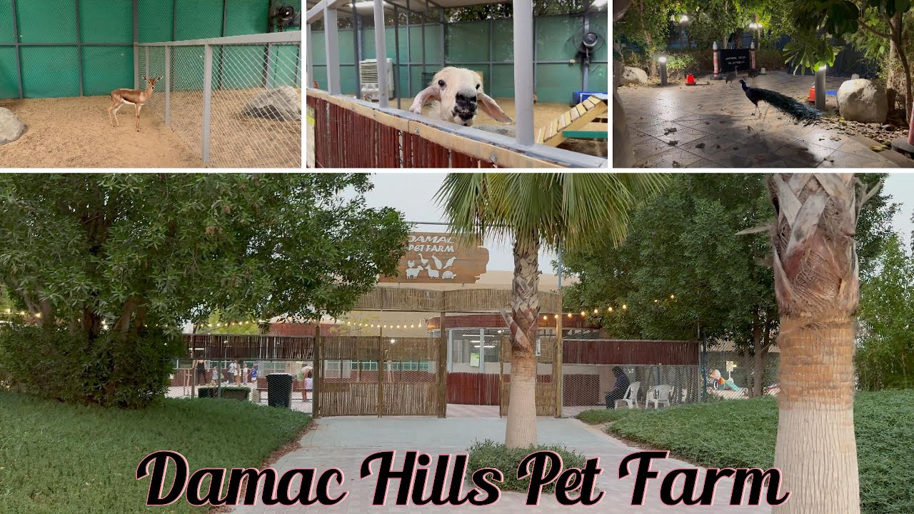 Dubai Pet Farm Adventure [4K]