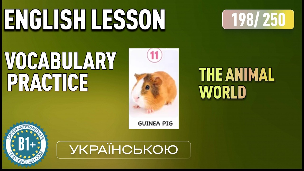 [198/250] АНГЛІЙСЬКА МОВА З НУЛЯ ДО B1 ЗА 250 ДНІВ. Vocabulary B1+