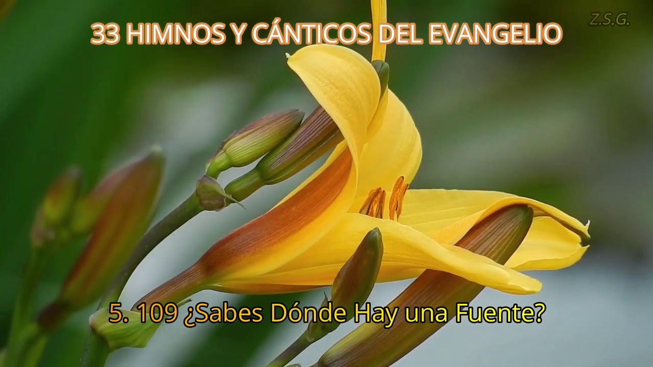Himnos y Cánticos del Evangelio. Cantadas por I. H