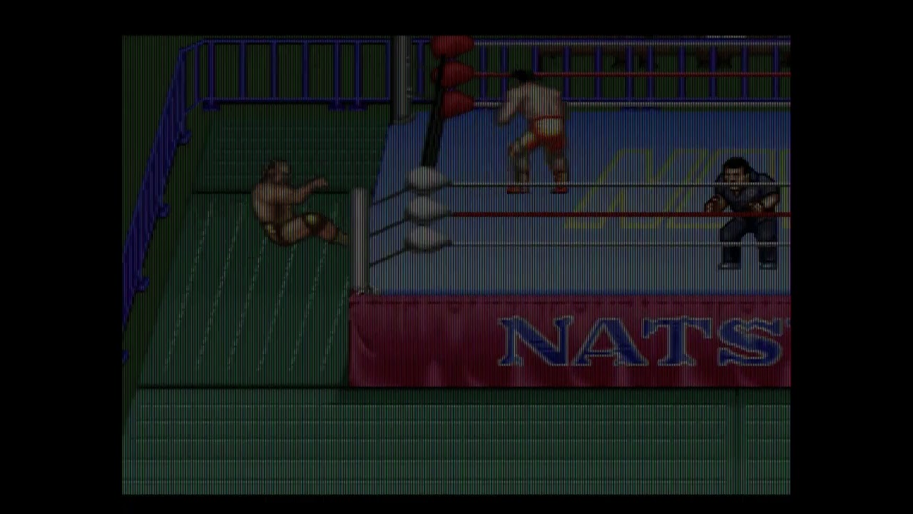 Natsume Championship Wrestling (SNES:1994) Natsume
