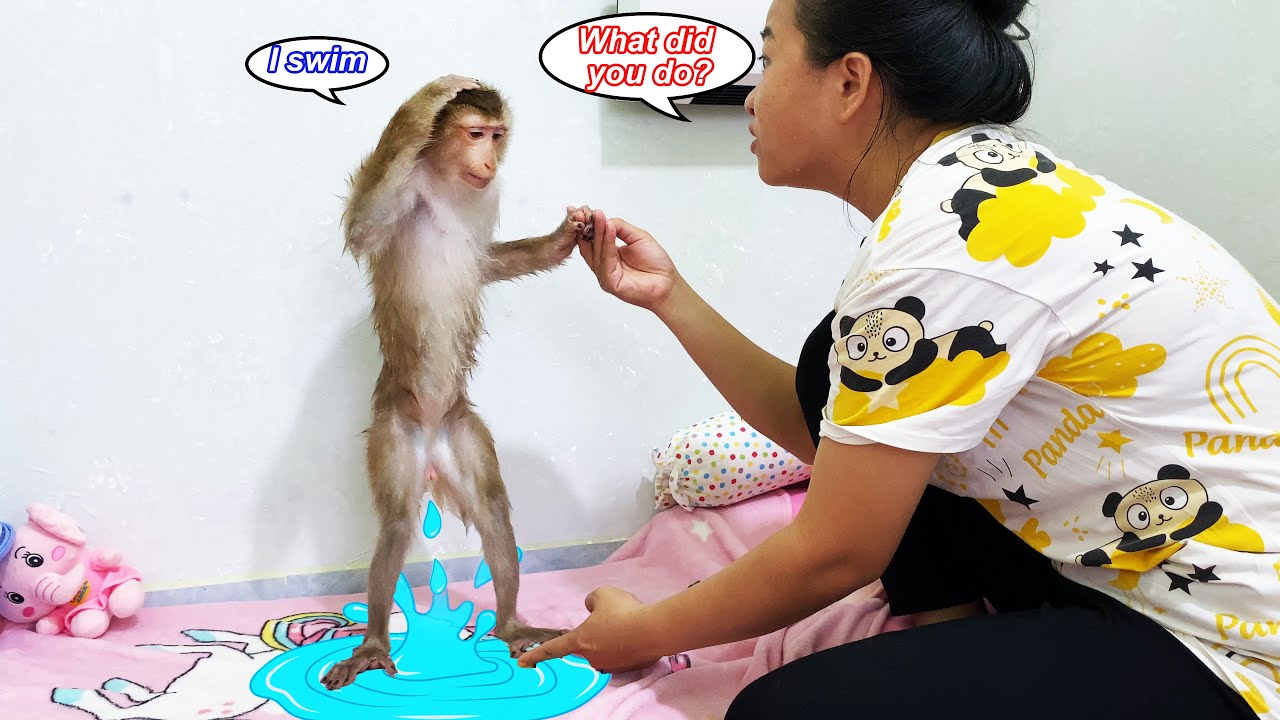 What's Happening to Lyly?? Monkey Lyly accidentally wets the bed and her mother reacts