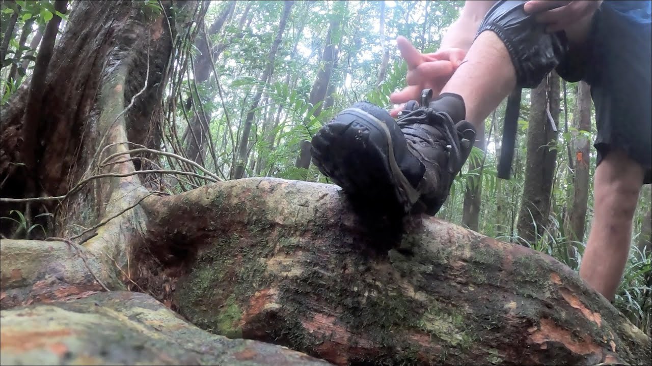 149 leeches - hiking Australia's tropical north