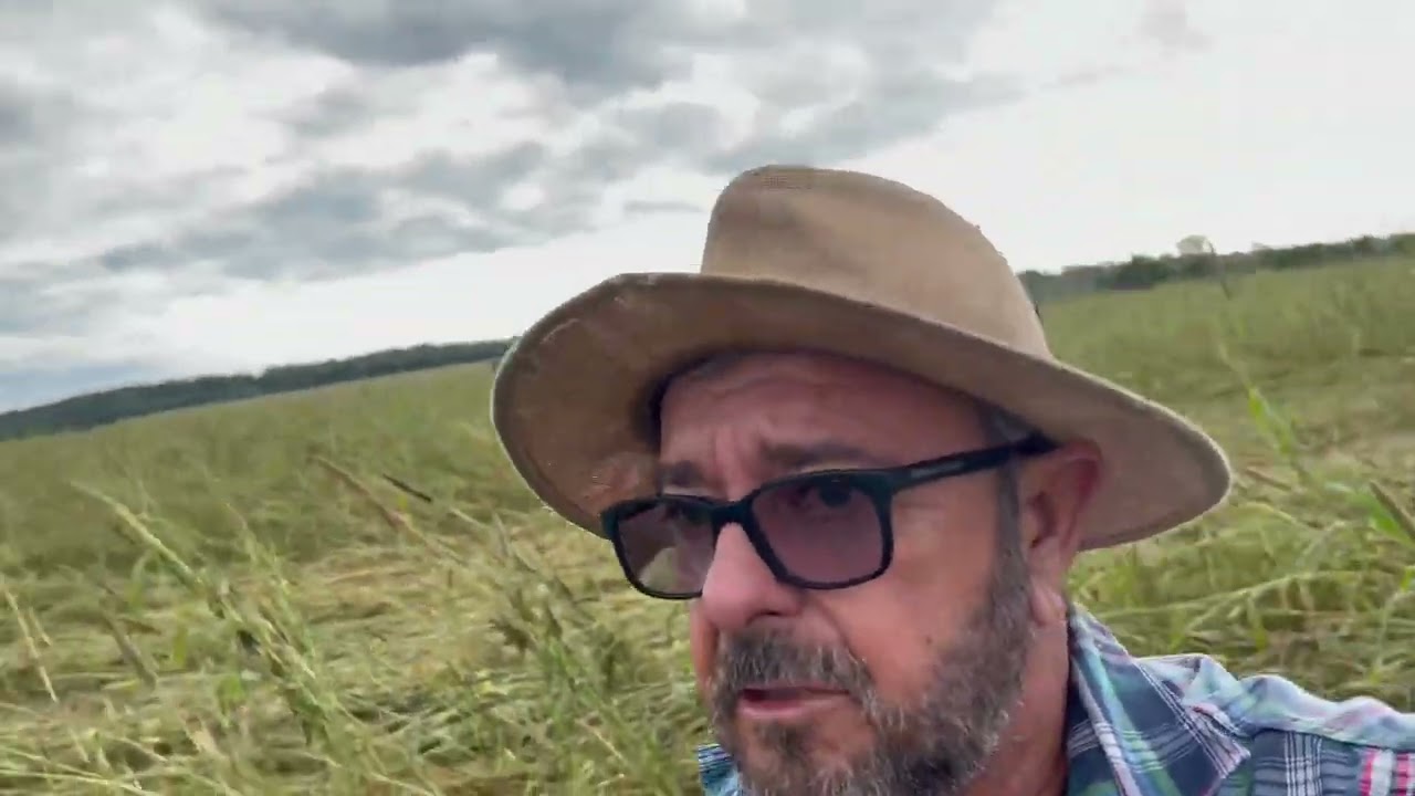 Plantio de Soja em Solo Arenoso.
