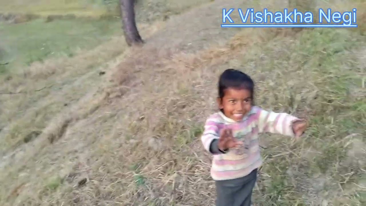 आज बंदरो का आतक बहुत हो गया #pahadilifestyle #dailyvlog #villagerlifestyle #villagelife 