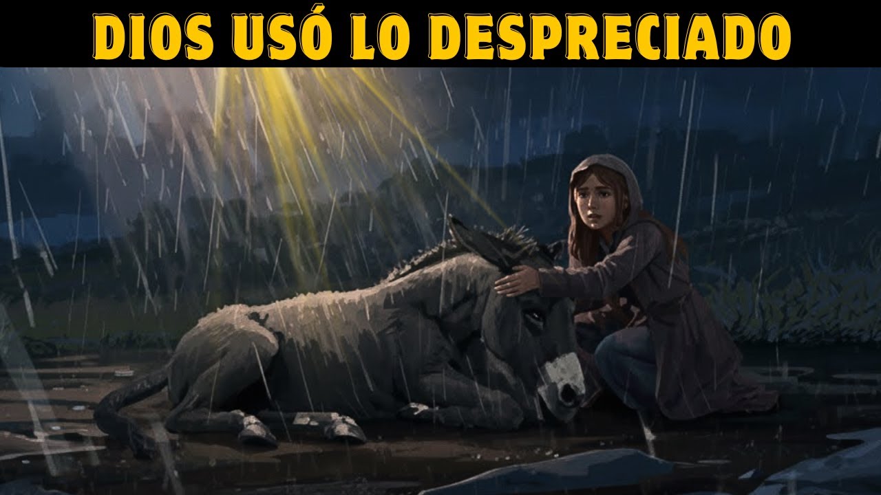 Esta HISTORIA Revela Cómo Dios Usó A Una Burra Vieja Para Salvar A Todo Un Pueblo | Fe Y Esperanza