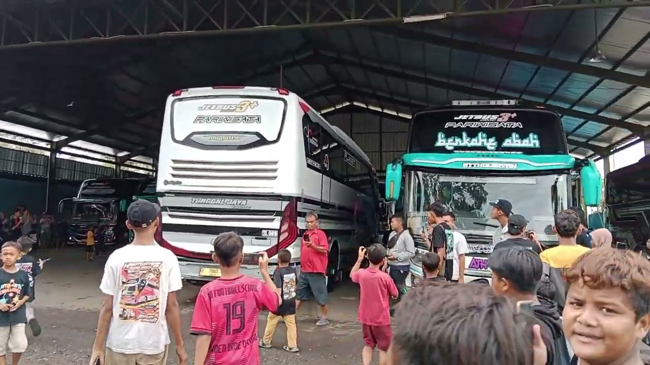 One Piece Tunggal Jaya Hadir #basuri #telolet #bus #tunggaljaya