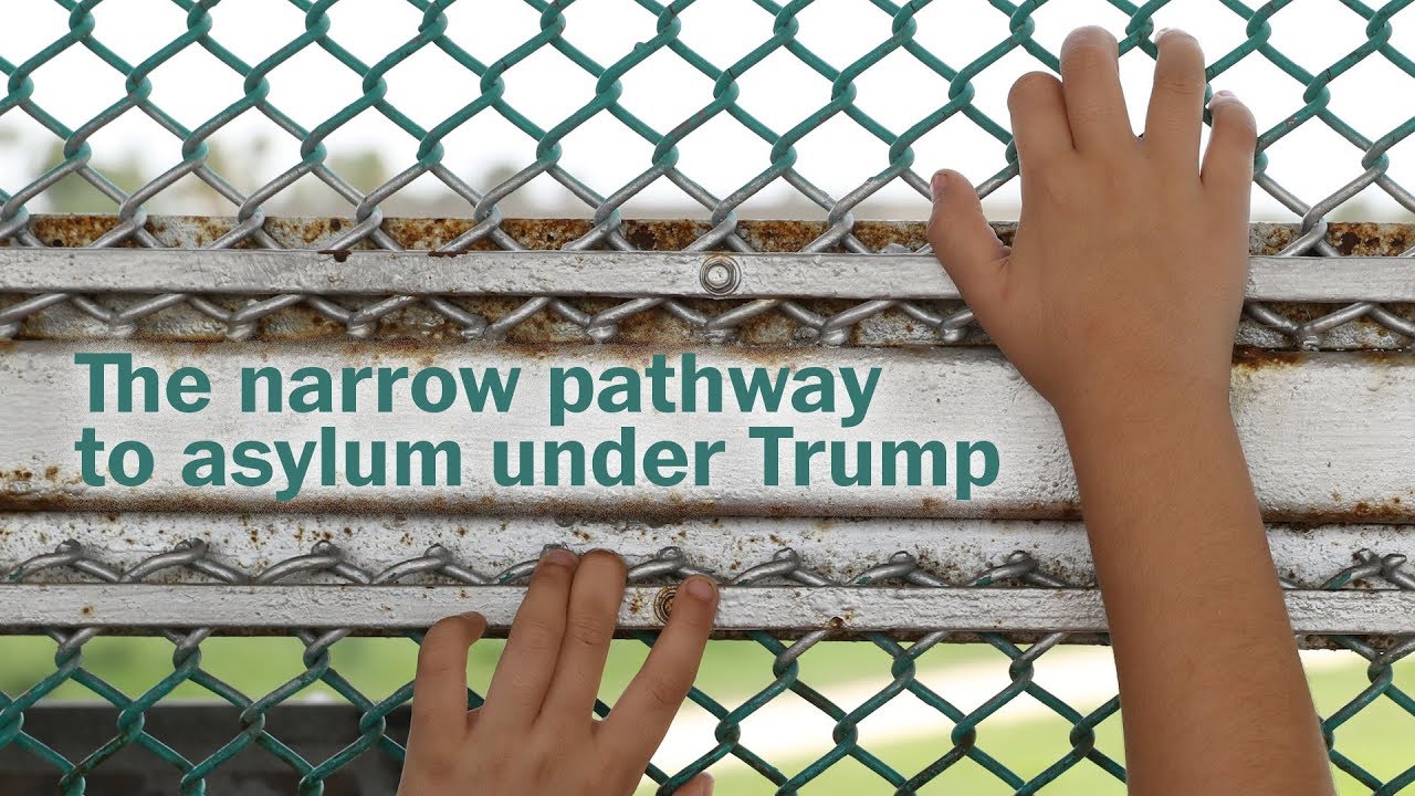 Тернистый путь к получению убежища при Трампе