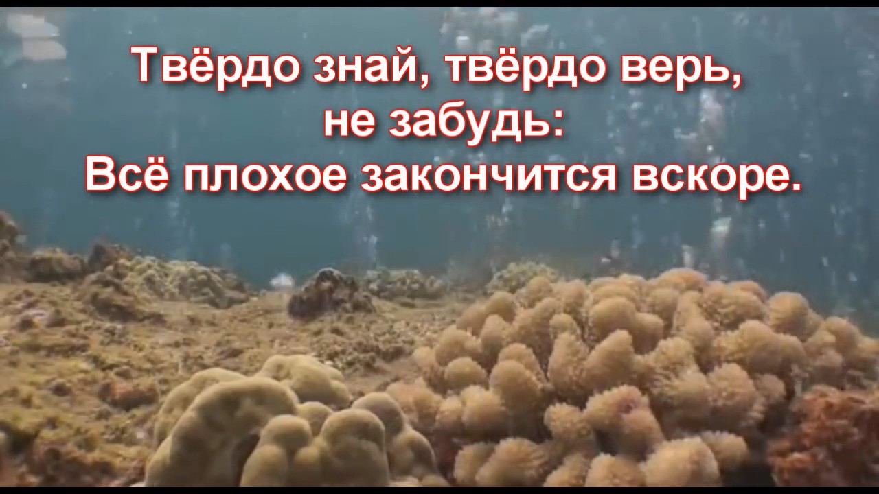 Злом за зло воздавать не спеши квартет «Берники»