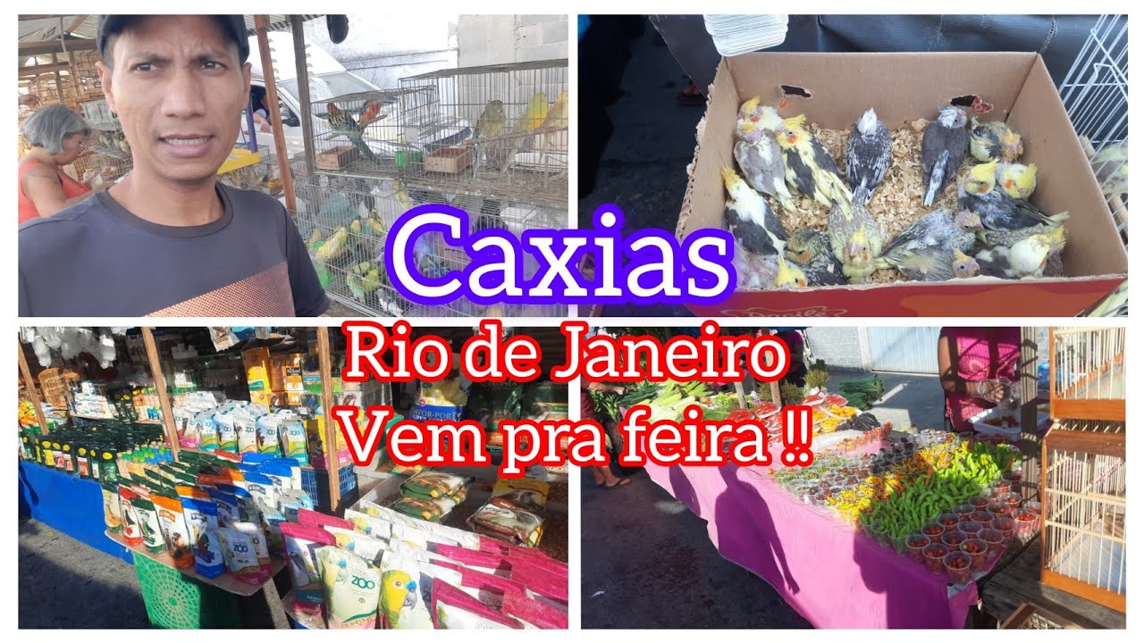 Feira de Caxias RJ venda de animais Domésticos .