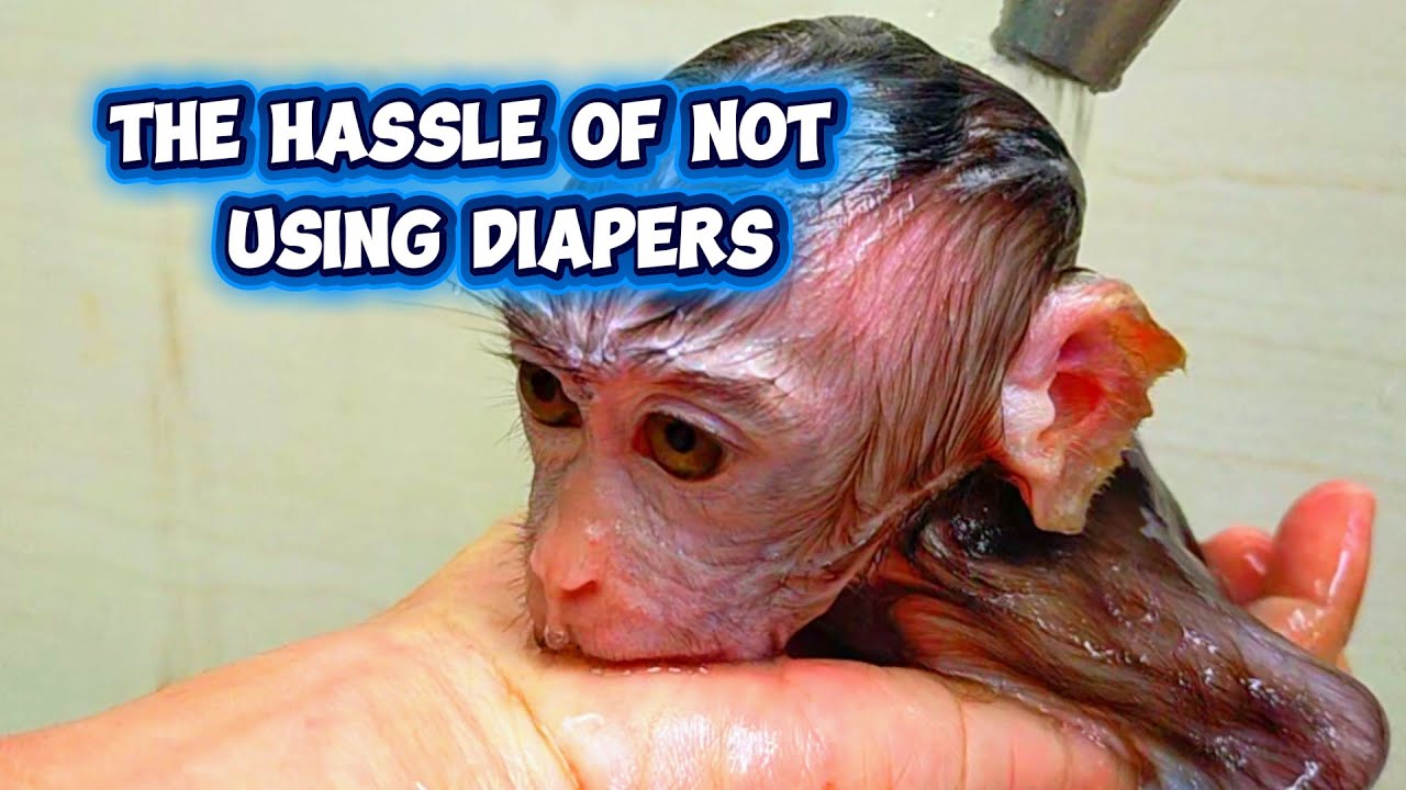 the hassle of not using diapers #viral #trending #viralvideo #viralvideos