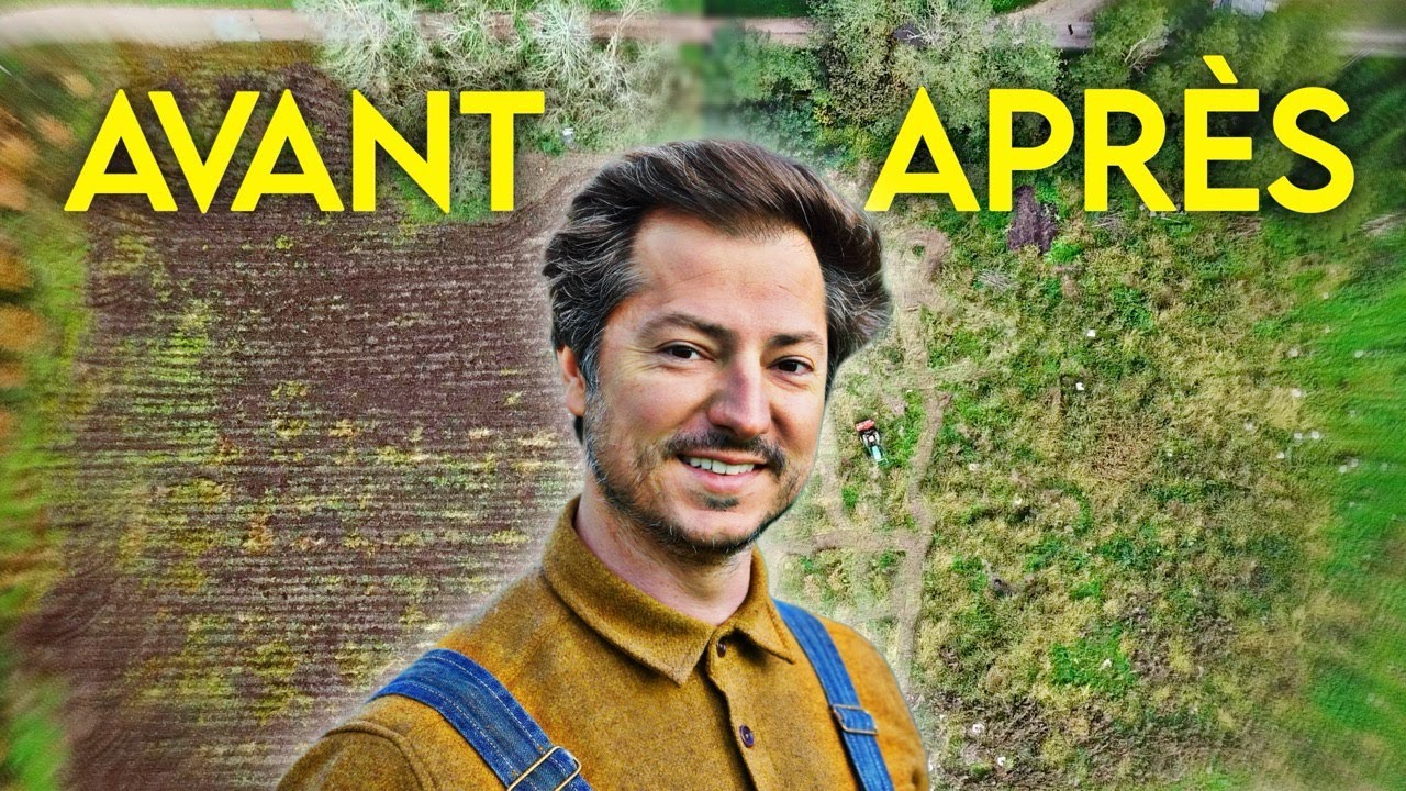 J'AI PLANTÉ 1000 ARBRES EN 15 JOURS (Jardin-Forêt)