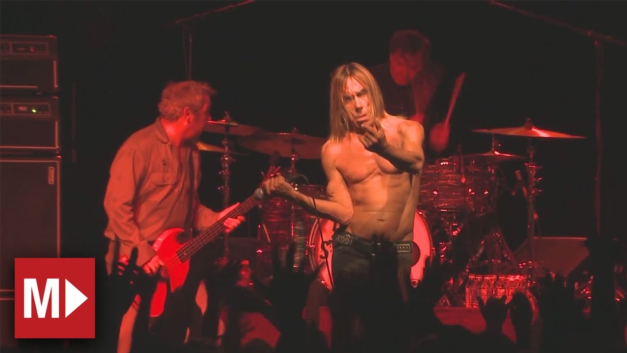 Iggy and the Stooges | Your Pretty Face Is Going To Hell | Live in Sydney