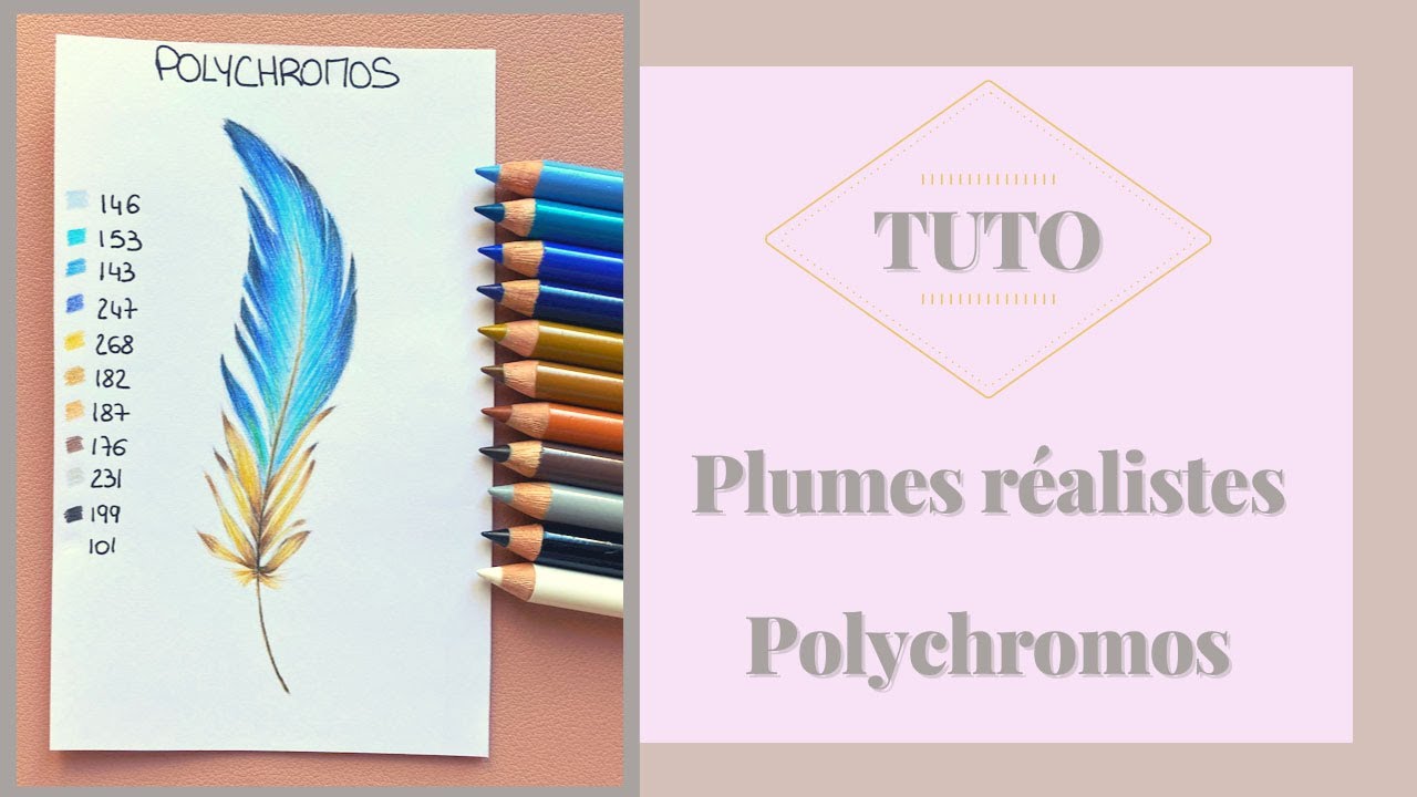 TUTO Plumes réalistes - Crayons de couleurs